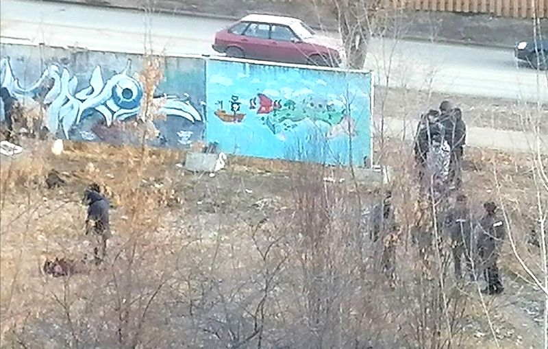 После убийства в центре Сызрани жители района просят обратить внимание на заброшенную территорию