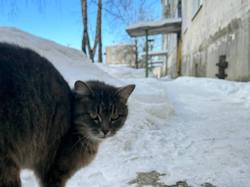 Сегодня грубость и развязность могут надолго испортить жизнь