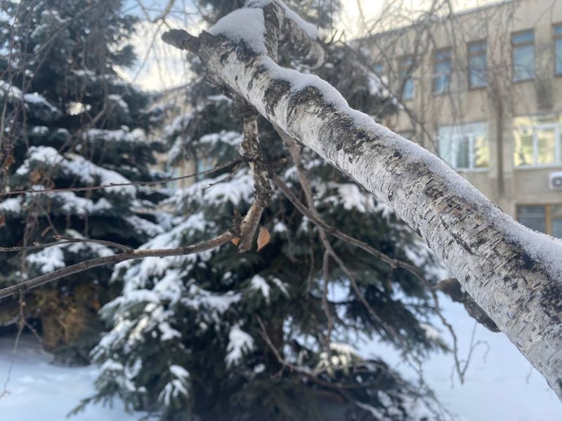 В такую погоду в Сызрани хороший хозяин ни собаку, ни загулявшего кота не выгонит