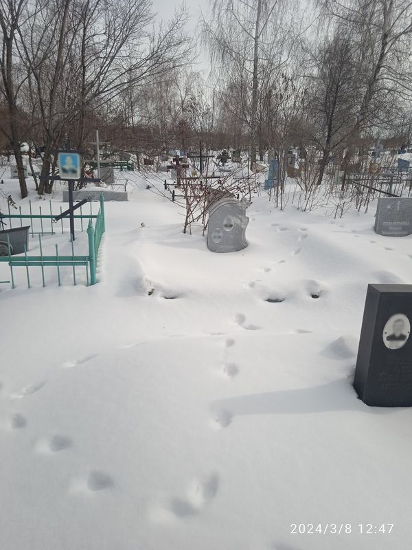 Смертность в Самарской области почти в два раза превысила рождаемость - и уже не в первый раз