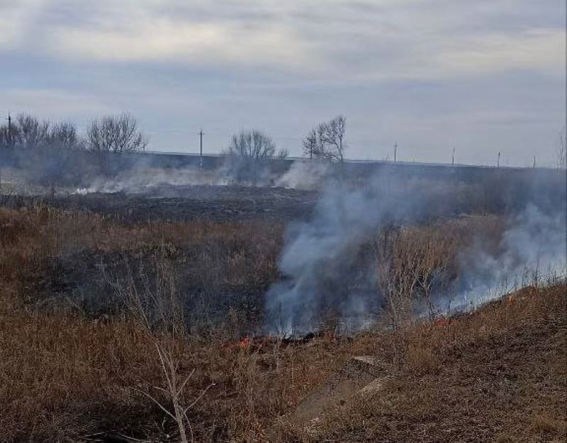 В Самарской области зафиксированы первые травяные пожары