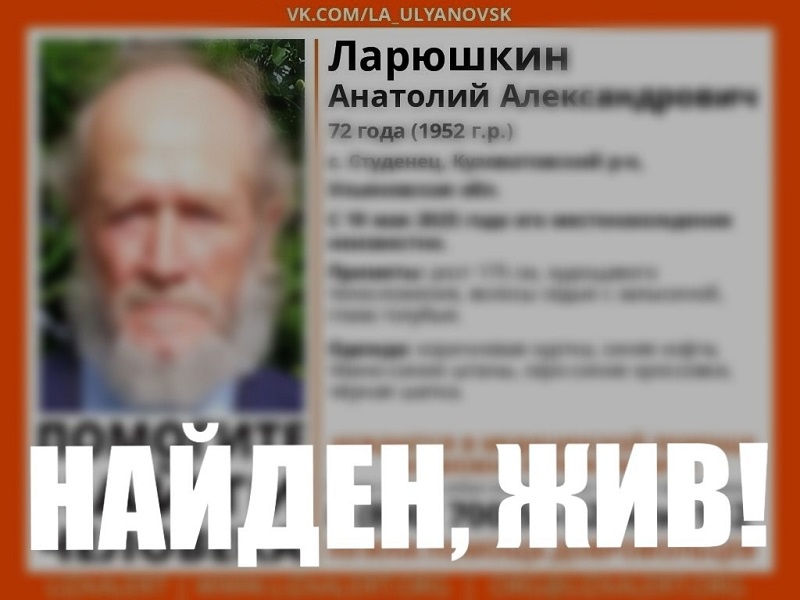 Ночные поиски пропавшего в лесах под Сызранью пенсионера завершены