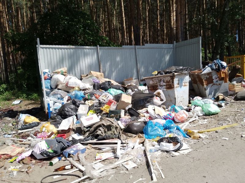 В Сызрани дачники разместили помойку на территории лесного урочища и завалили ее мусором и пнями