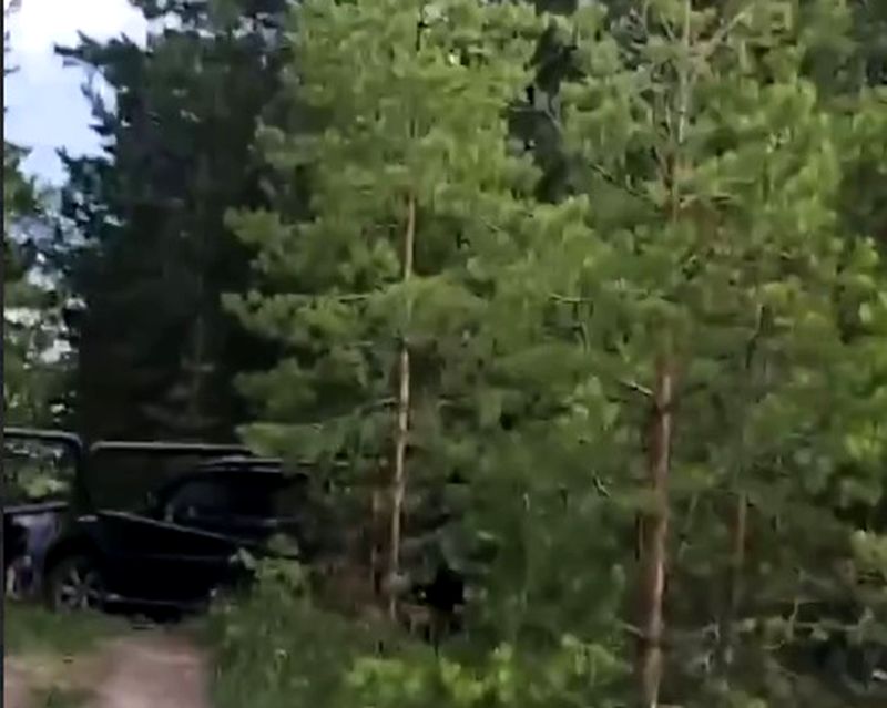 Туристы с оружием прорвались мимо шлагбаума в заповедную зону под Сызранью