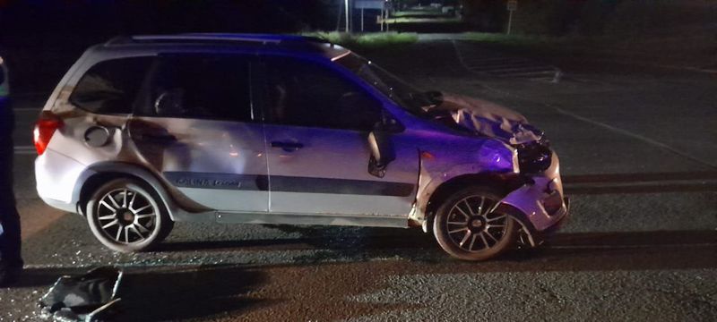 В Самарской области разогнавшийся водитель авто сбил бурёнку