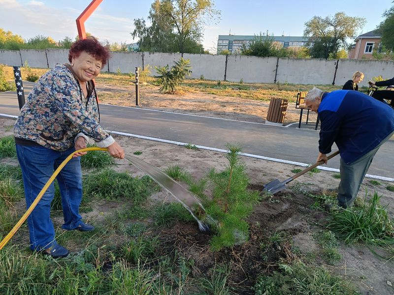 ������ ������ ��� ���������� �������������� ���� �����