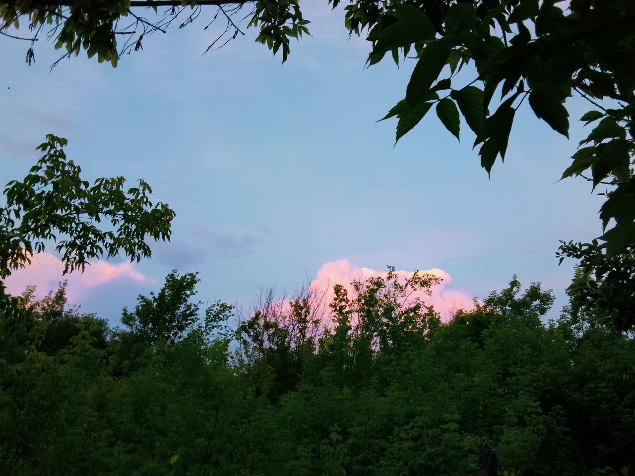 К Земле летит крупный астероид - ученые уверены в его падении на Землю, но не завтра