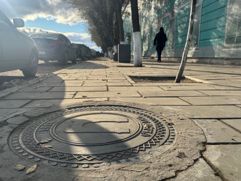 В Самарской области от клещей уже пострадало более тысячи детей-врачи назвали одну из мер спасения от кровососов