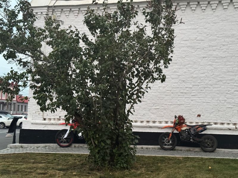 �������� ��� �����: ���������� �������� ������� ����� � ����������� ������