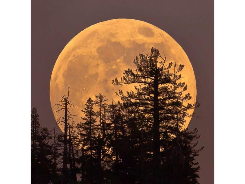 В небе над Сызранью взошла супер-Луна и дала еще один шанс людям