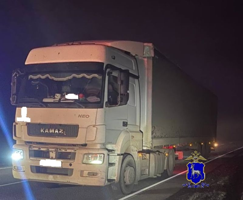 Нелепая смерть: в тумане под Сызранью погиб человек