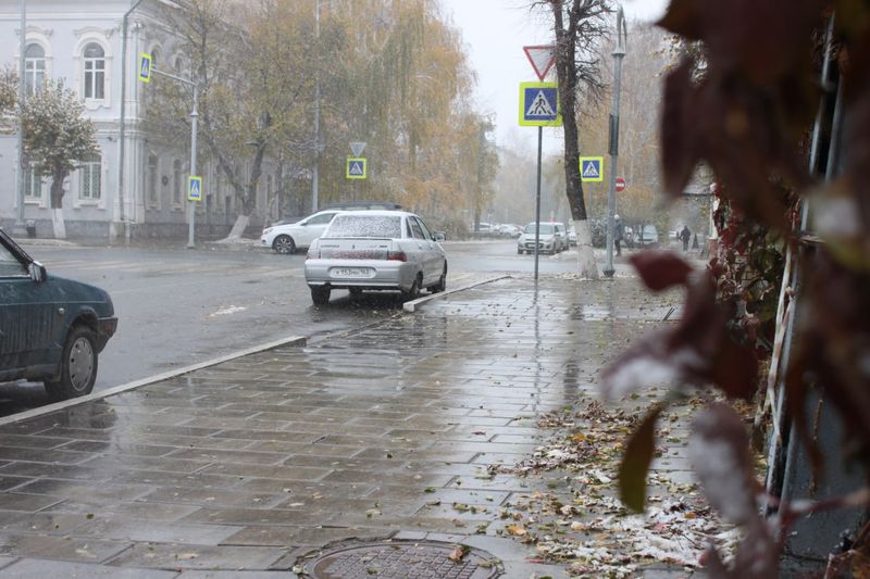 Несколько регионов России в ноябре зальет дождем и засыплет снегом