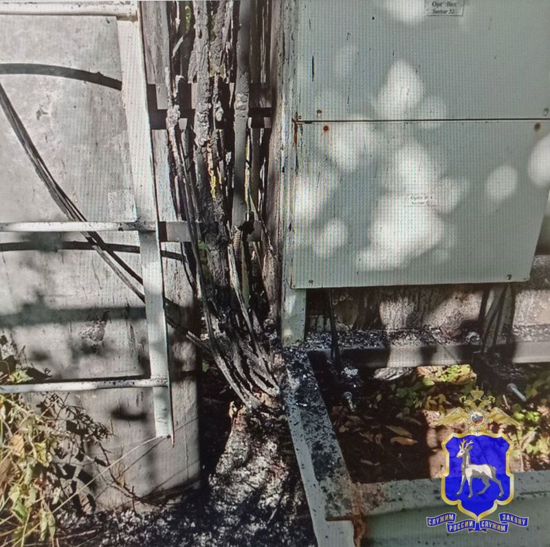 ������� ��������� ������� ����������� ��������� �� ����� ���������� ����������������� ����