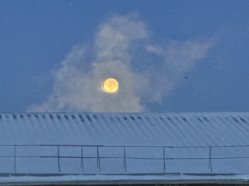 �� ����������� �������� ����������� ��� ������� - ������� ���� ���� �������