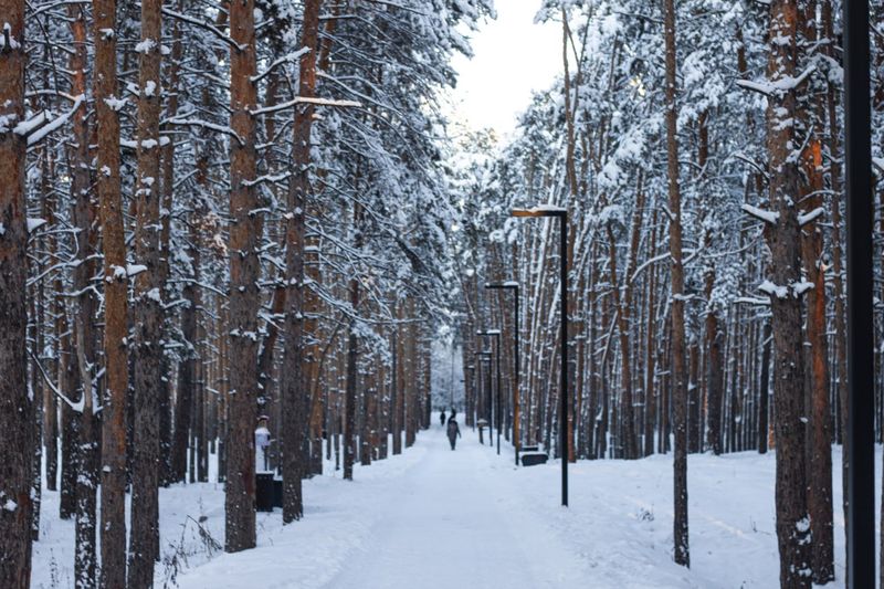 ����� ��������� ������, ������� �� ��������� � ������ ������� ������ ������ ������ � ����