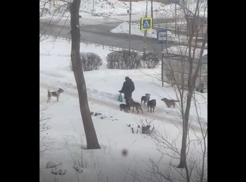 � ������� ������� ���� ����������� �� ���������, ������� ���� 5-������� ������