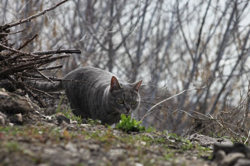 � ������� ���� �� ������ �����������, �� � ������������� �����