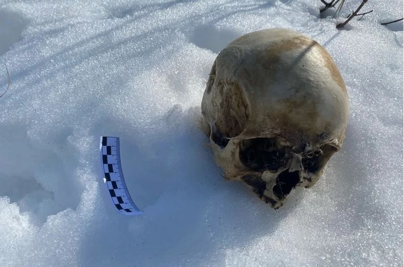 �������� �������: � ��������� � ��������� ������� ������ ������������ ����� � �������������