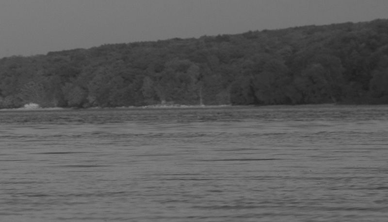 � ��������� ���� ����������� ������� ������ �������