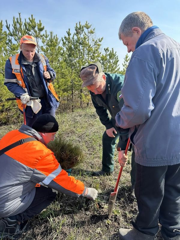 � ������������ ������� ��������� ���� ��������� ��������� �������