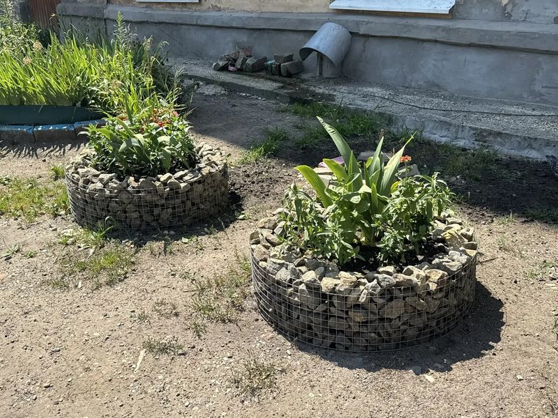 � ������ ������� ������������� �������� ����� �������������� ����