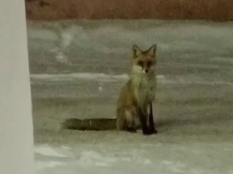 � ������� �� ����� ��������� ��������� ������ � ��������� ����� ������