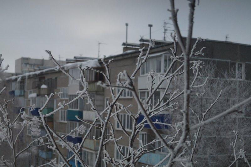 Поток ледяного воздуха из Казахстана ночью поморозит Самарскую область